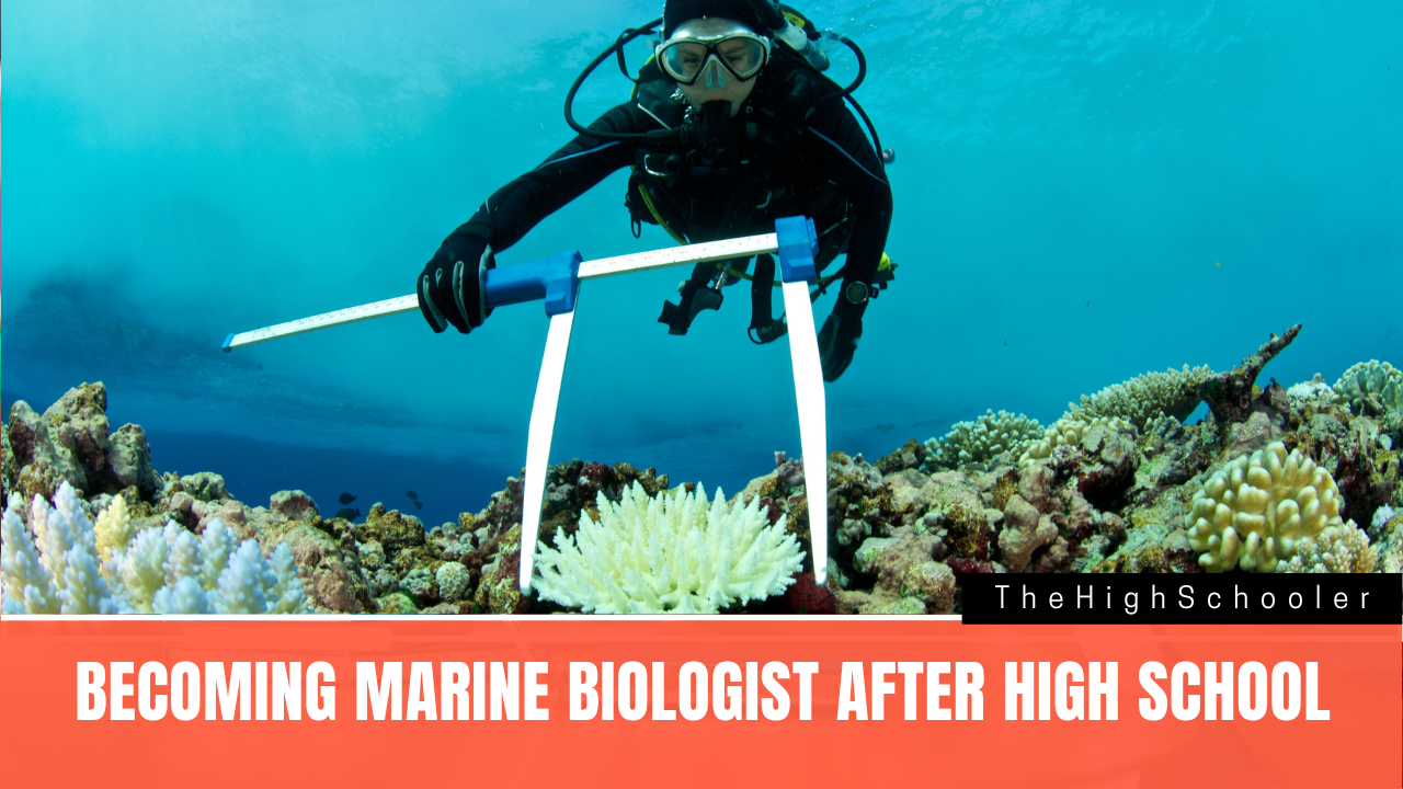 What are the requirements for a Marine Biologist after High
