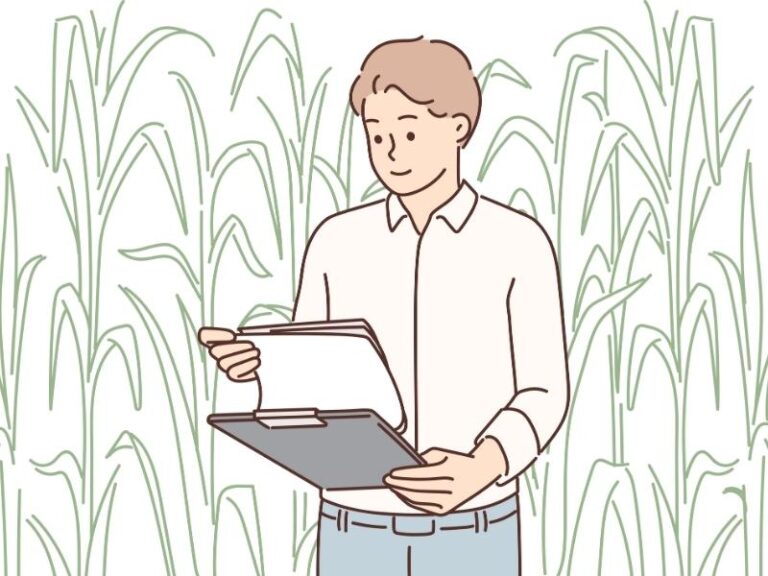 10-agriculture-activities-for-high-school-students-thehighschooler